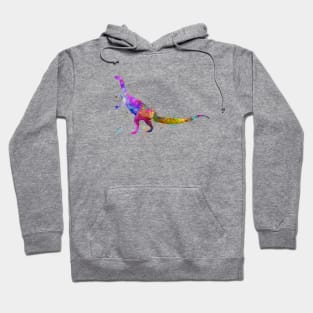 Plateosaurus in watercolor Hoodie